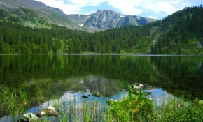 festival-sedmoe-nebo-altai-2012