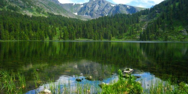festival-sedmoe-nebo-altai-2012