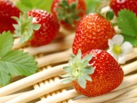вкус жизни вкус жизни